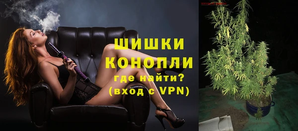 индика Пересвет