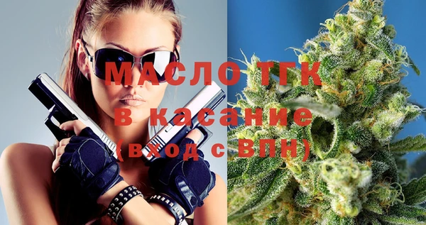 индика Пересвет