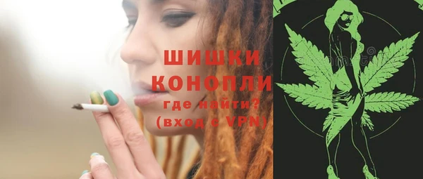 индика Пересвет