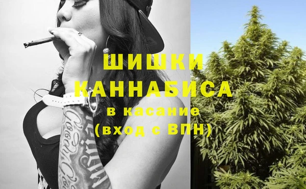 индика Пересвет