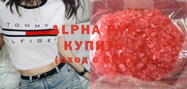индика Пересвет