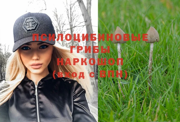 каннабис Пестово