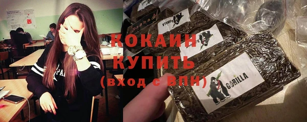 индика Пересвет