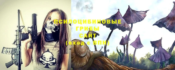 индика Пересвет