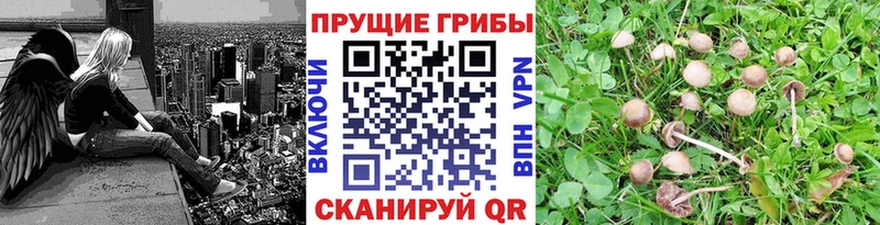 Галлюциногенные грибы мицелий Рыльск