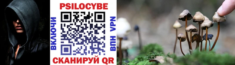 Галлюциногенные грибы Psilocybine cubensis  Рыльск 